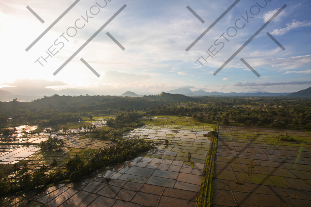 Loading Photo
